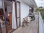 69 Stratford Drive, Cable Bay, Cable Bay - Carousel 13