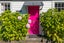 184 Collingwood Street, Nelson, Nelson - Carousel 1