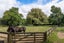 59 Fuchsia Lane, Tamahere, Hamilton - Carousel 13
