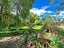 11 Grant Place, Witherlea, Blenheim - Carousel 28