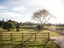 Lots 1-14, Cemetery Road, Maunu, Whangarei, Northland - Carousel 34