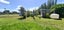 3982 Far North Road, Pukenui, Kaitaia - Carousel 20