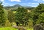 967 State Highway 14, Maungatapere, Maungatapere - Carousel 33