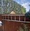 23 Brookfield Drive, Northwood, Christchurch - Carousel 31