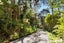 276 Huia Road, Titirangi, Auckland - Carousel 30