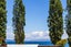 6 Keitha Place, Kinloch, Taupō - Carousel 14