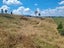 254B Pekanui Road, Puketotara, Pirongia - Carousel 5