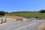 233A Leith Valley Road, Leith Valley, Dunedin, Otago - Carousel 5
