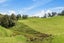 506 Frankley Road, Hurworth, New Plymouth - Carousel 25