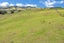 0 Maungakaramea Road, Maungakaramea, Maungakaramea - Carousel 13