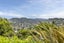 44B Gaya Grove, Ngaio, Wellington - Carousel 16