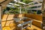 58 Dehra Doon Road, Riwaka - Carousel 19