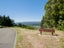 4A Lindis Lane, Kelson, Lower Hutt - Carousel 1