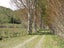 594 Hurunui Bluff Road, Hurunui, Hawarden - Carousel 8