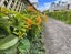 81B Western Springs Road, Morningside, Auckland - Carousel 2