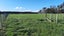 157 Motuiti Road, Foxton, Foxton - Carousel 9