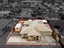 54B Takanini School Road, Takanini, Papakura, Auckland - Carousel 17