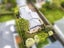 1/0 East Coast Road, Forrest Hill, Auckland - Carousel 22