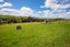 1272 State Highway 1, Whangarei - Carousel 21