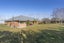 1049 Two Chain Road, Swannanoa, Rangiora - Carousel 28