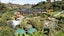 158 WAITAHA ROAD, Welcome Bay, Tauranga, Bay Of Plenty - Carousel 44