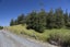 3901F Far North Road, Pukenui - Carousel 6