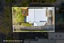 34 Horne Street, Hamilton Central, Hamilton - Carousel 22