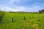 221 Stanley Road, Te Popo, Stratford - Carousel 37