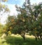 276 Brooklyn Valley Road, Brooklyn, Motueka - Carousel 34