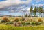 448 Letts Gully Road, Letts Gully, Alexandra - Carousel 24