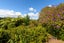 45 Oropi Gorge Road, Pyes Pa, Tauranga - Carousel 27