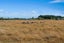 104 Jordan Road, Waingawa - Carousel 11