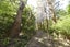 13 Okuti Valley Road, LITTLE RIVER, Little River - Carousel 37