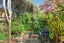 67 Matija Place, Red Beach, Red Beach - Carousel 29