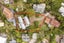 36 Mayall Avenue, Beach Haven, Auckland - Carousel 19