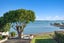 2B Attwood Street, Whangarei - Carousel 25