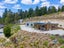 213B Letts Gully Road, Letts Gully, Alexandra - Carousel 10