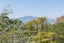 19 Arney CRescent, Remuera, Auckland - Carousel 38