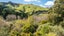 196A Okains Bay Road, Robinsons Bay, Akaroa - Carousel 23