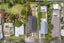 43 Sackville Street, Grey Lynn, Auckland - Carousel 2