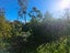 18 Terrace Street, Marton - Carousel 37