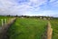 0 Te Mawhai Road, Tokanui, Te Awamutu - Carousel 4