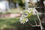 118 Tarbert Street, Alexandra, Alexandra - Carousel 34