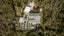 167 Darkies Terrace Road, CHARLESTON, Cape Foulwind  - Carousel 35