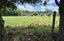 731 Pyes Pa Road, Pyes Pa, Tauranga - Carousel 22