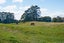 182 Oturoa Road, Hamurana, Rotorua - Carousel 20
