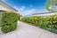 10 Cicada Place, Kihikihi, Waipa, Waikato - Carousel 16