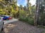 107 Lone Kauri Road, Karekare, Auckland - Carousel 17