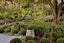 11 Valley Road, Mount Eden, Auckland - Carousel 7