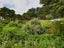 3820 State Highway 1, Towai, Hikurangi - Carousel 2